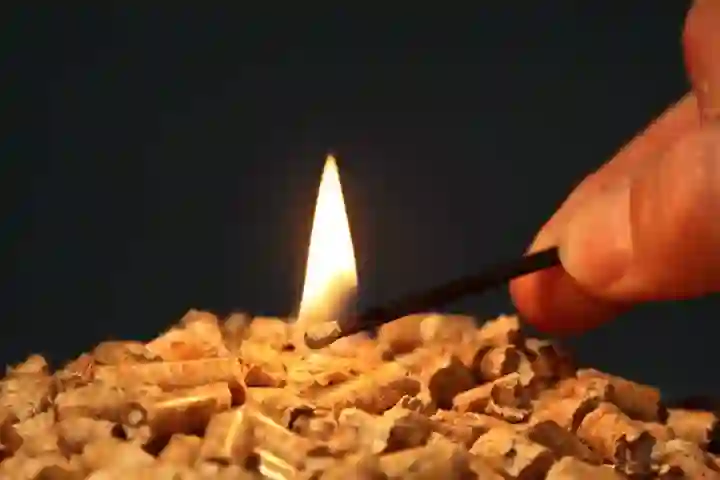 Biomass Wood Pellet